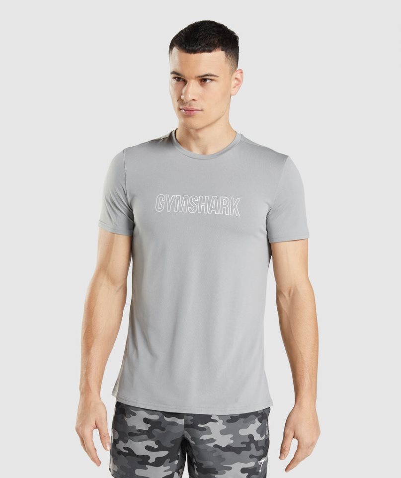 Men\'s Gymshark Arrival Graphic T-Shirts Light Grey | NZ 7WESHL